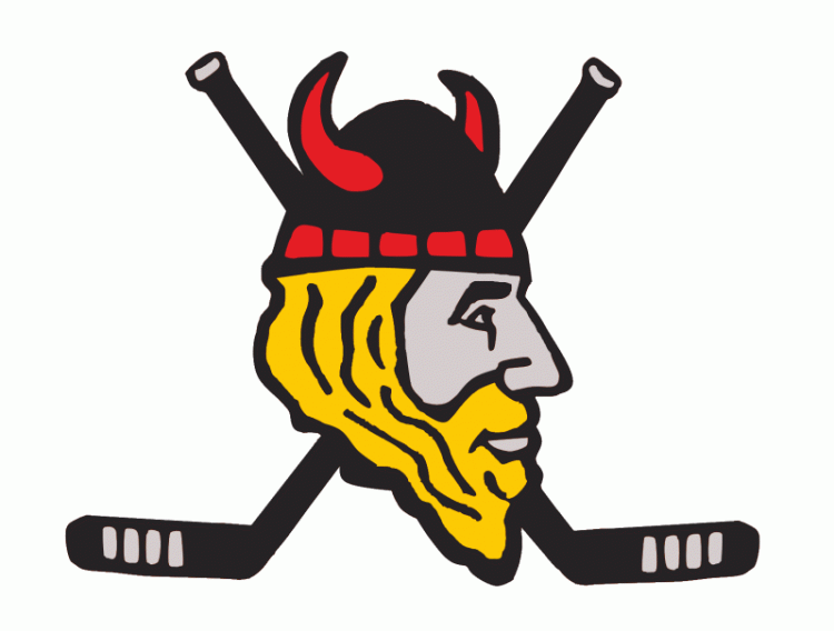 Baie-Comeau Drakkar 1997 98-1998 99 Secondary Logo vinyl decal